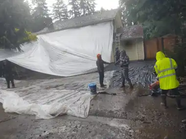Front Stairs & Stamped Driveway, Winter Pour, Puget Sound WA, photo 4