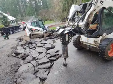 More Demolition & Tear-Outs, Puget Sound WA, photo 9