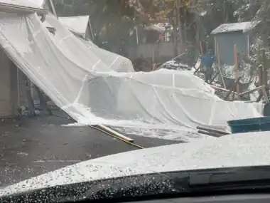 Tented Rainy-Season Driveway Pour, Puget Sound WA, photo 3