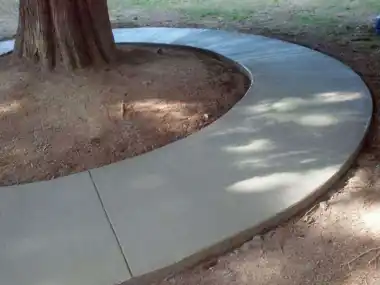 Circular Kids' Bike Track Around a Tree, Puget Sound WA, photo 1