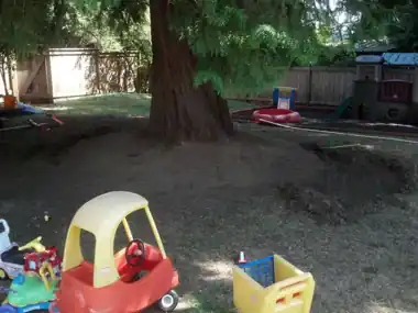 Circular Kids' Bike Track Around a Tree, Puget Sound WA, photo 2