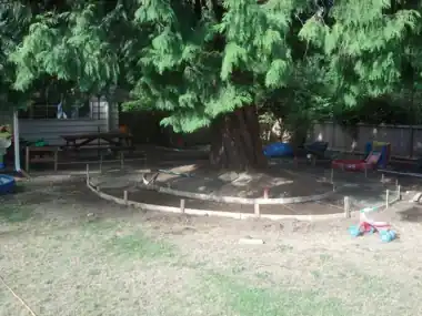 Circular Kids' Bike Track Around a Tree, Puget Sound WA, photo 3