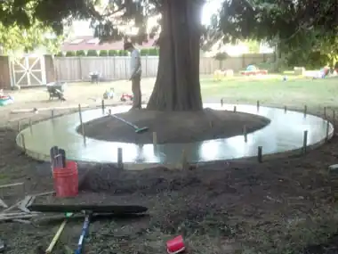 Circular Kids' Bike Track Around a Tree, Puget Sound WA, photo 4
