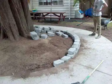 Circular Kids' Bike Track Around a Tree, Puget Sound WA, photo 5
